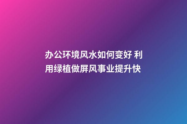 办公环境风水如何变好 利用绿植做屏风事业提升快